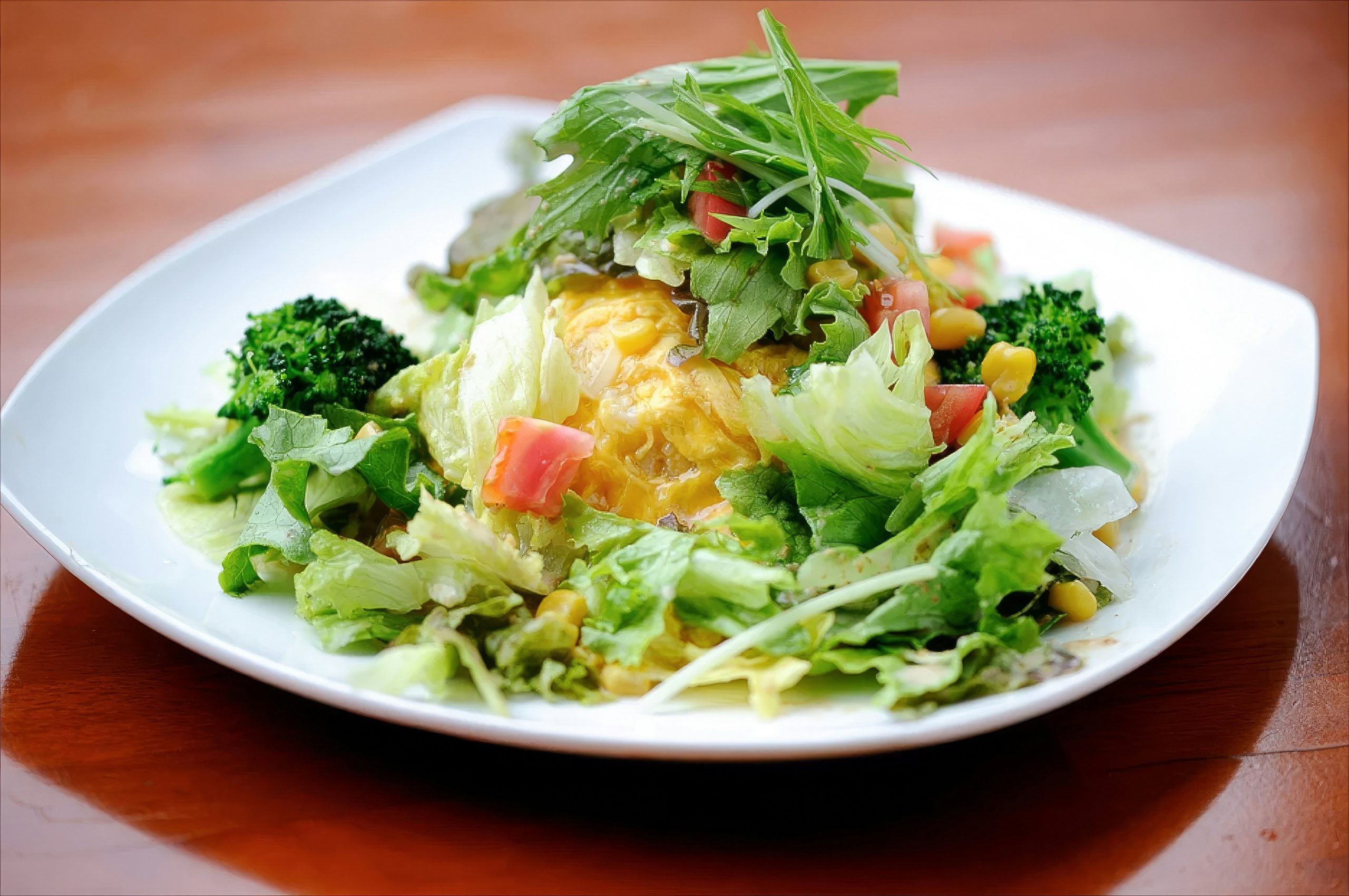 Pratos do Dia (Almoços)